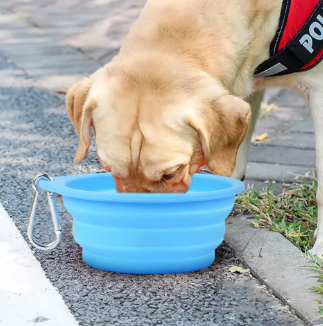 Collapsible Dog Bowl – Portable 350ml Silicone Travel Dish for Food & Water