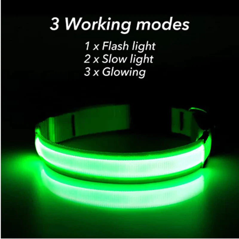 Adjustable LED Dog Collar - Waterproof Flashing Safety Glow