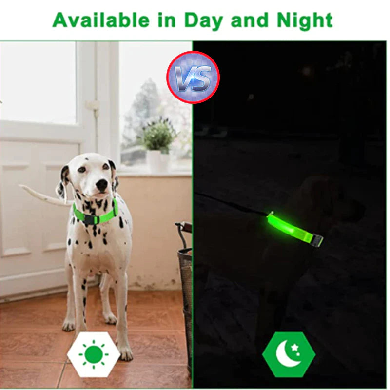 Adjustable LED Dog Collar - Waterproof Flashing Safety Glow